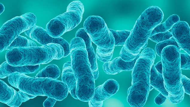 becas de investigación en el extranjero posdoctorales y postdoctorales de la fundación Alfonso Martín Escudero